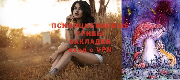 ГАЛЛЮЦИНОГЕННЫЕ ГРИБЫ Алексин
