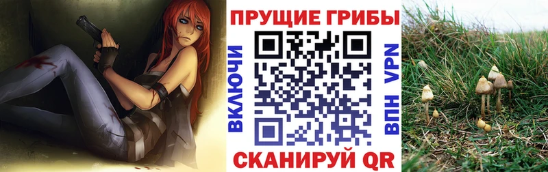Псилоцибиновые грибы Magic Shrooms Ханты-Мансийск